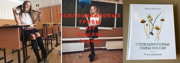 тгк Алексеевка