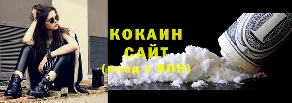 крисы Мегион