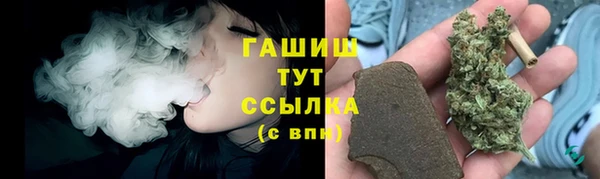 крисы Мегион