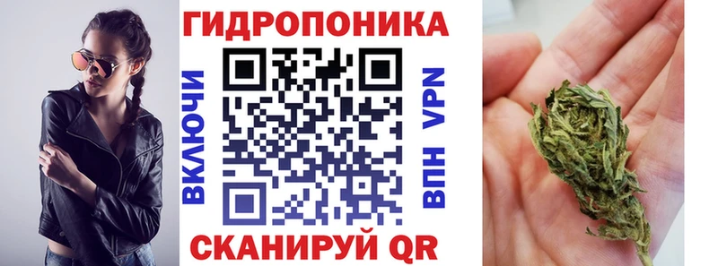 Купить где  Болотное  Бошки Шишки марихуана 